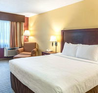 Clarion Hotel Seatac - Accommodation Rooms