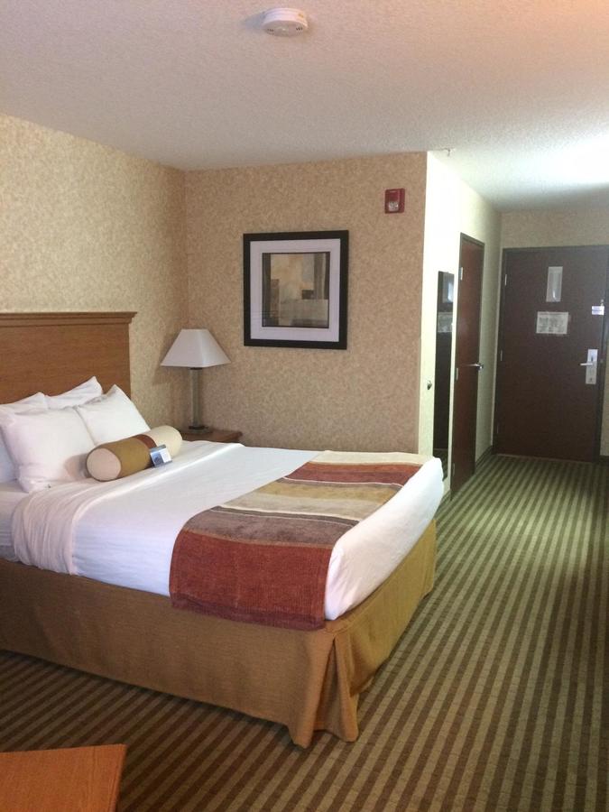 Best Western Rama Inn - thumb 42