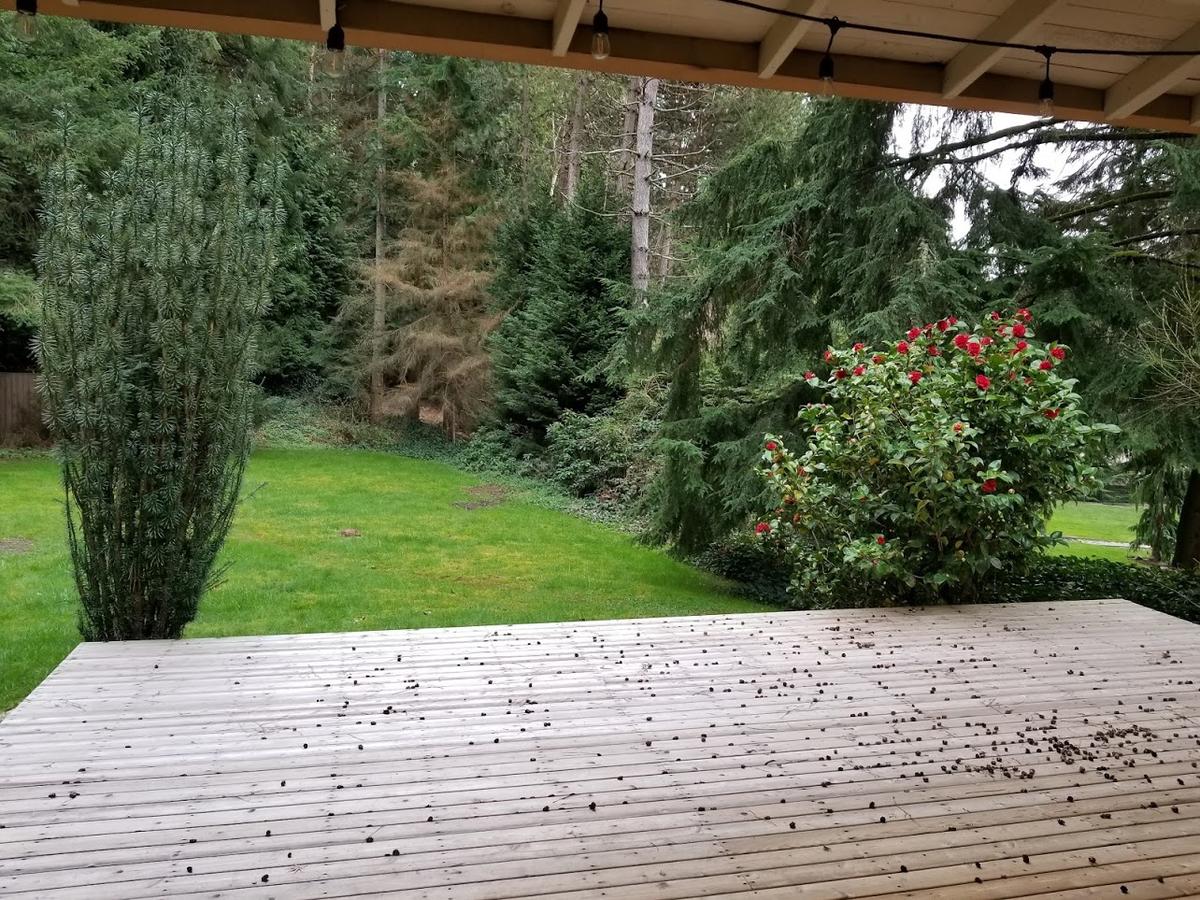 Wine Country Contemporary Retreat - thumb 17