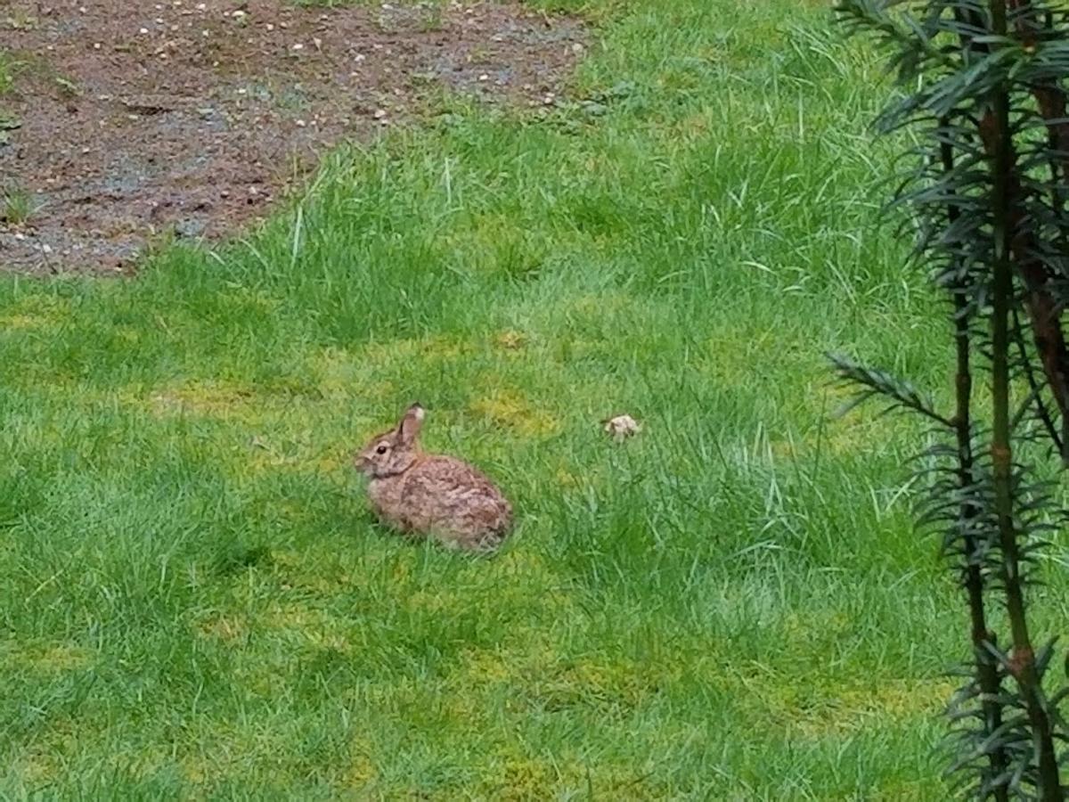 Wine Country Contemporary Retreat - thumb 18