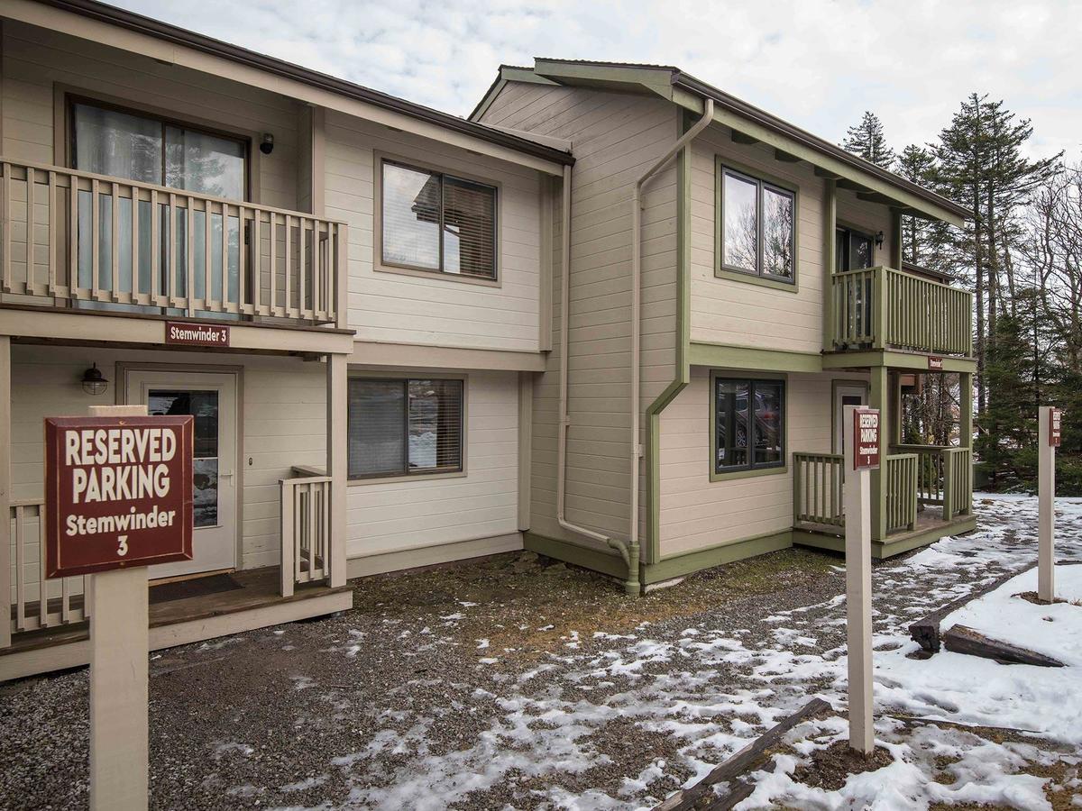 Stemwinder #3 - thumb 0