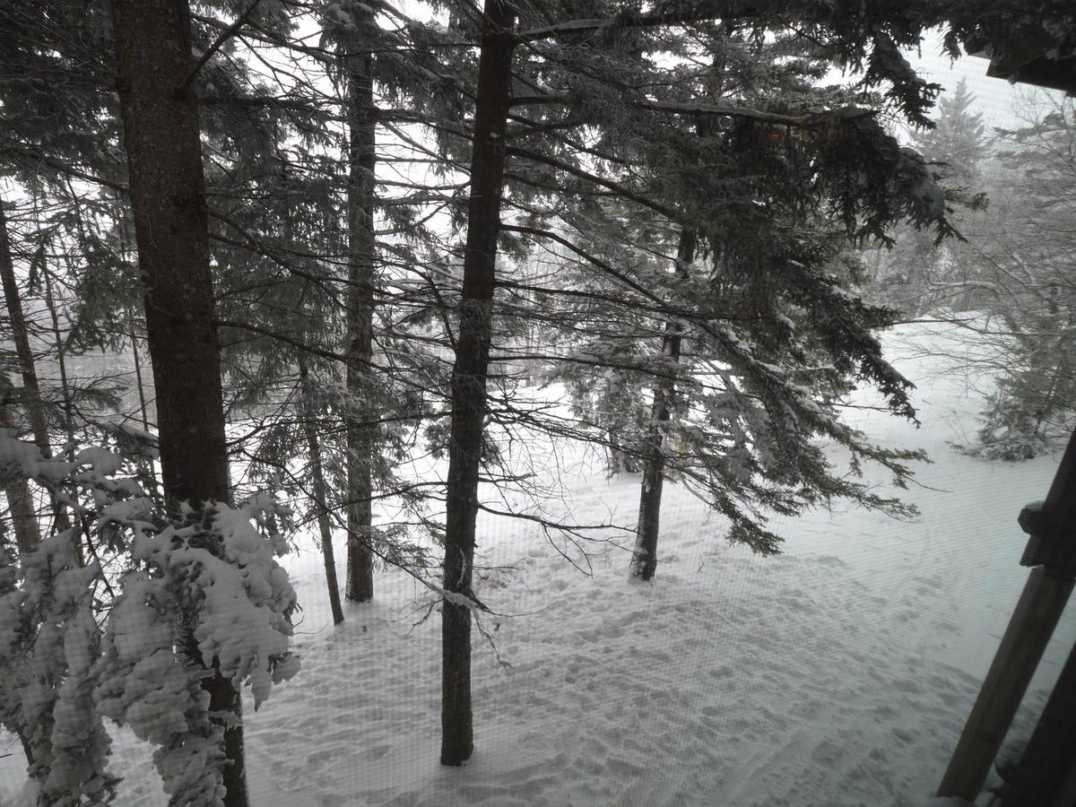 Stemwinder #2 - thumb 9