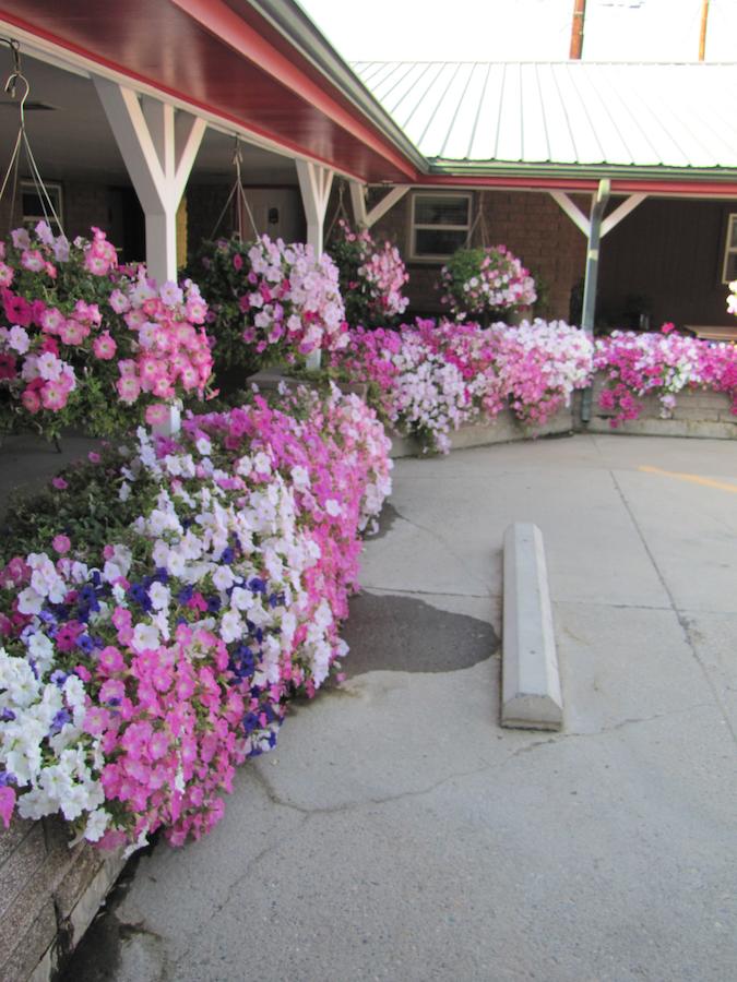 Greybull Motel - thumb 4