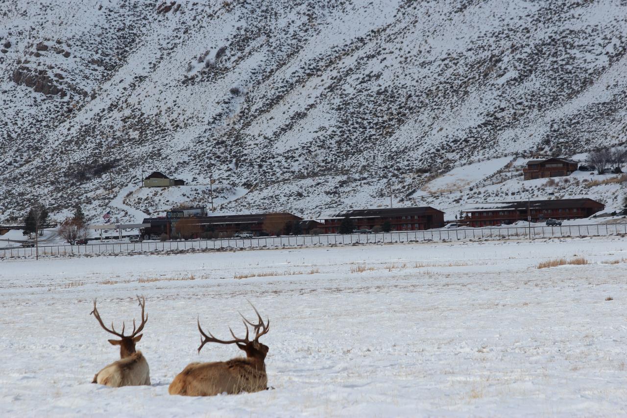 Flat Creek Inn - thumb 40