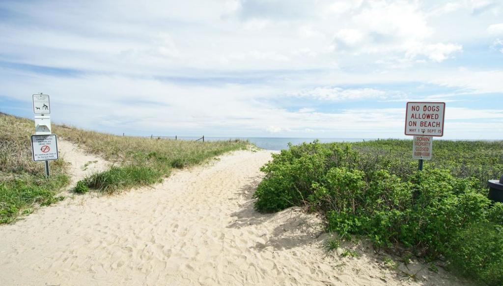 606 - Chatham Charmer - thumb 2