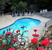 13 Serenity Home Cabin - Accommodation Rooms