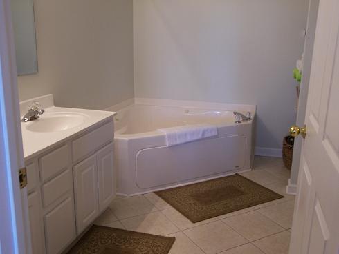 2P Marsh Winds - thumb 2