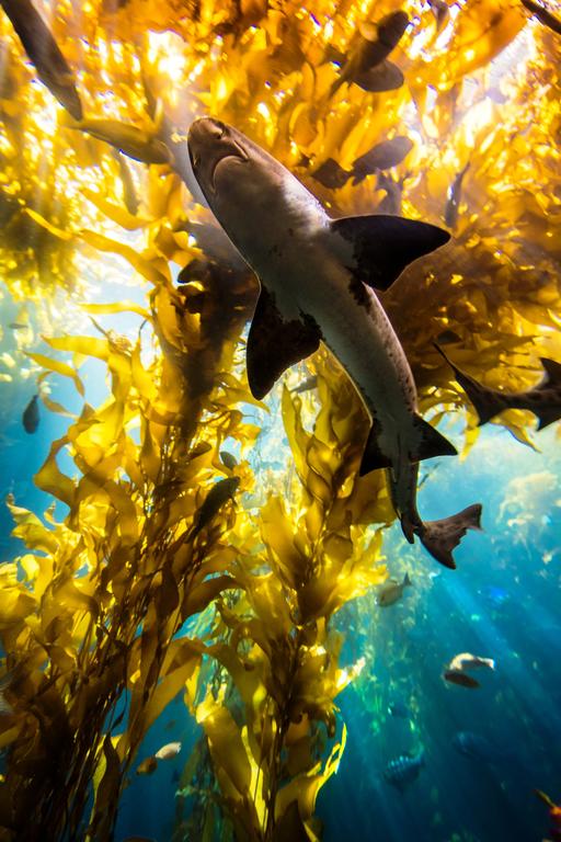 3693 Lilli's House - thumb 3