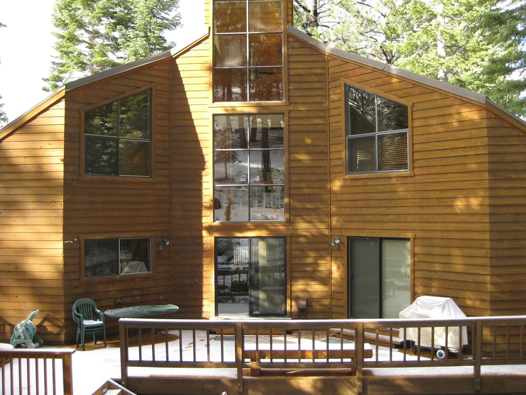 731 Conifer - thumb 1