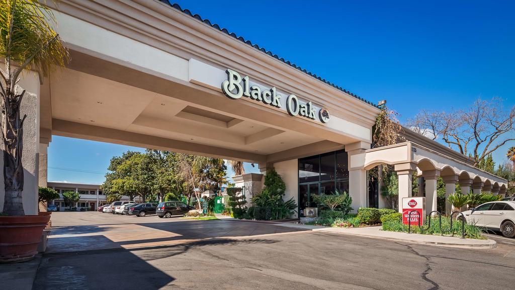 Best Western PLUS Black Oak - thumb 2