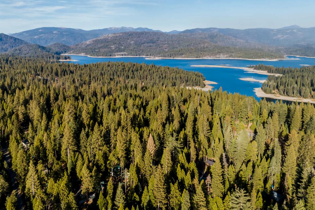 Blue Sky Cottage - thumb 3