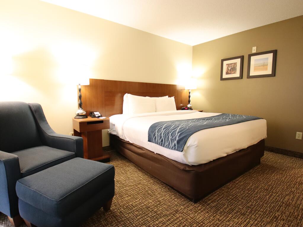 Comfort Inn & Suites North Dallas-Addison - thumb 1