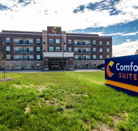 Comfort Suites - Accommodation Rooms