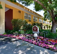 County Inn - Accommodation Rooms