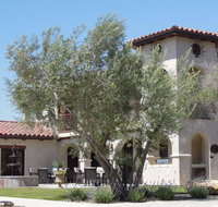 Croad Vineyards - The Inn - Accommodation Rooms