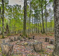 Deep Creek Cabin with 2 Acres, 8Mi to Wisp Ski Resort - Accommodation Rooms