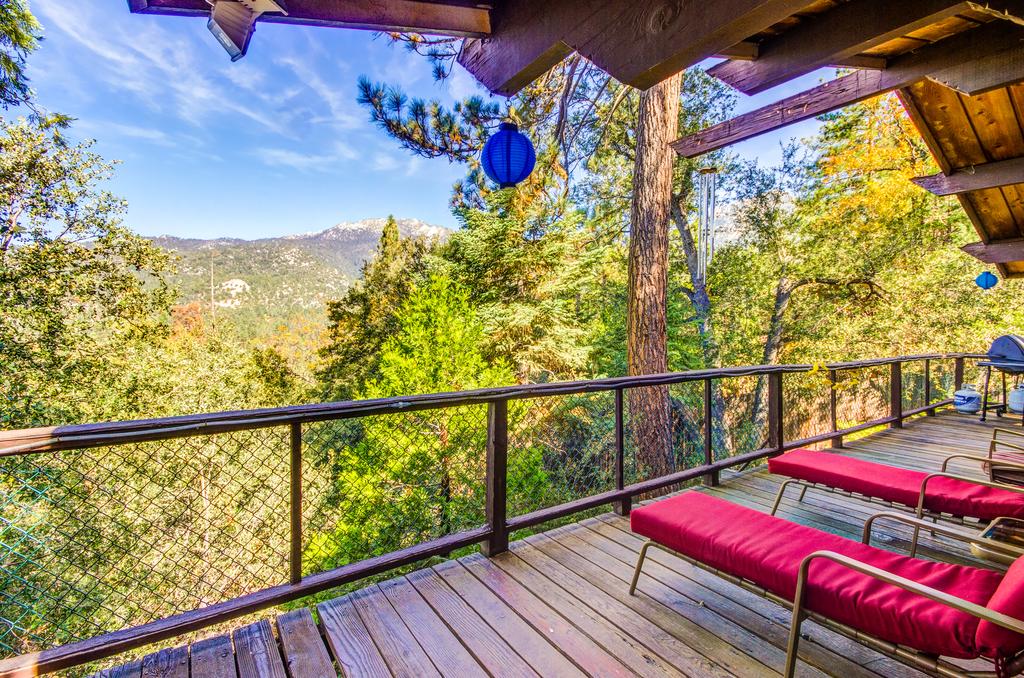 Dream Catcher - thumb 0