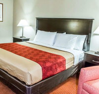 Econo Lodge Burlington I-40 - Accommodation Rooms