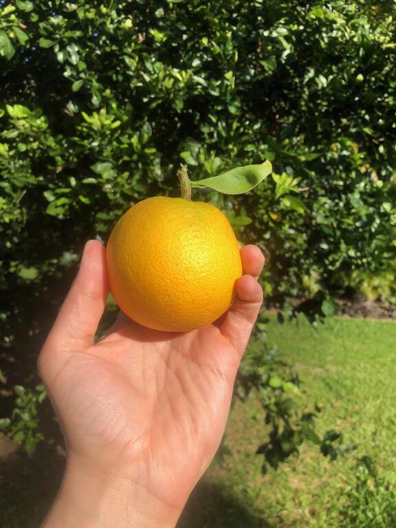 Hana Estate Home - thumb 3