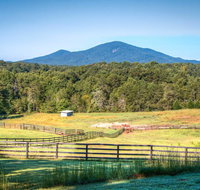High-end Clarkesville Apt on Horse Farm - Accommodation Rooms