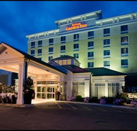 Hilton Garden Inn Clifton Park - Accommodation Rooms