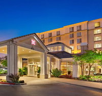 Hilton Garden Inn San Francisco Airport North - Accommodation Rooms
