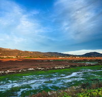 Holiday Inn Express  Suites Carpinteria - Accommodation Rooms
