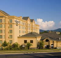 Homewood Suites by Hilton Asheville - Accommodation Rooms