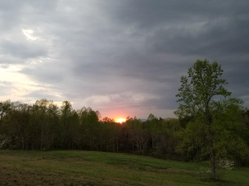 Meadow Springs - thumb 1