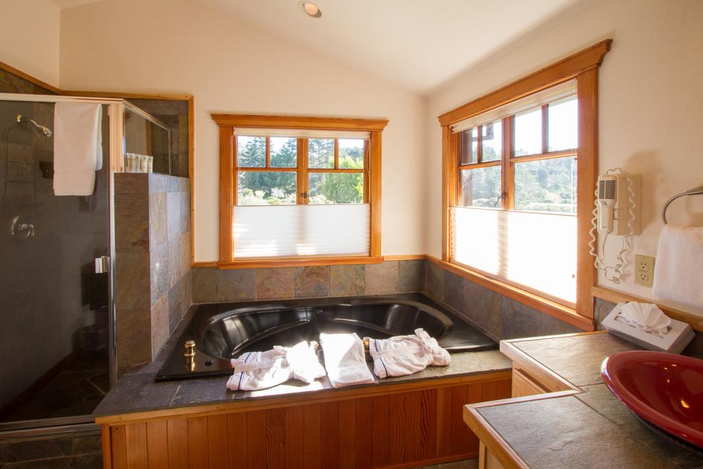 Mendocino View East - thumb 3