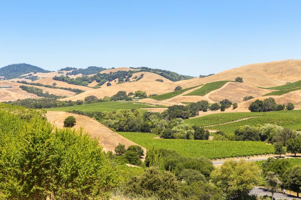 Orchard Home - thumb 1