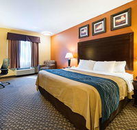 Quality Inn - Accommodation Rooms