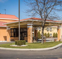 Quality Inn  Suites - Accommodation Rooms