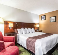 Quality Inn  Suites - Accommodation Rooms