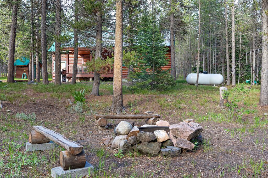 Restoration Pines By KABINO - thumb 3