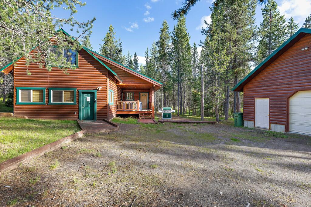 Restoration Pines By KABINO - thumb 1