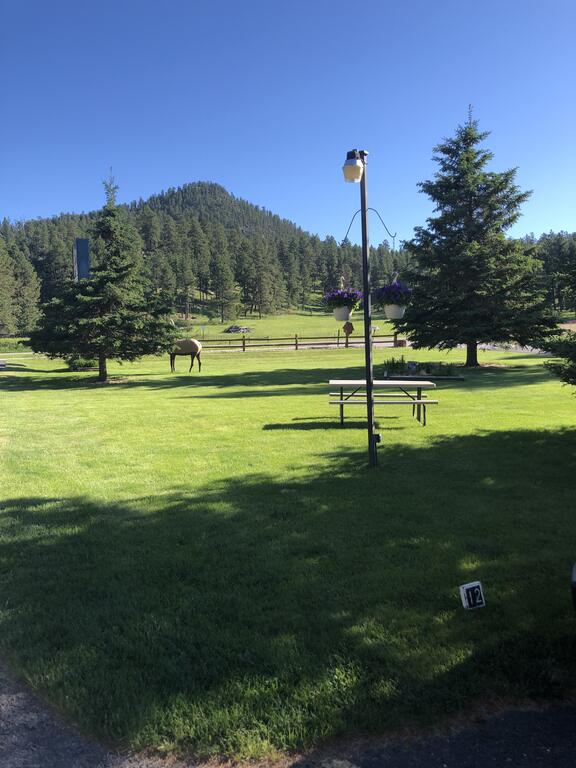 Spring Creek Inn - thumb 2