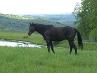 Ut North-branch Accommodation Rooms