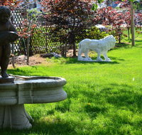 The Drake Inn - Accommodation Rooms