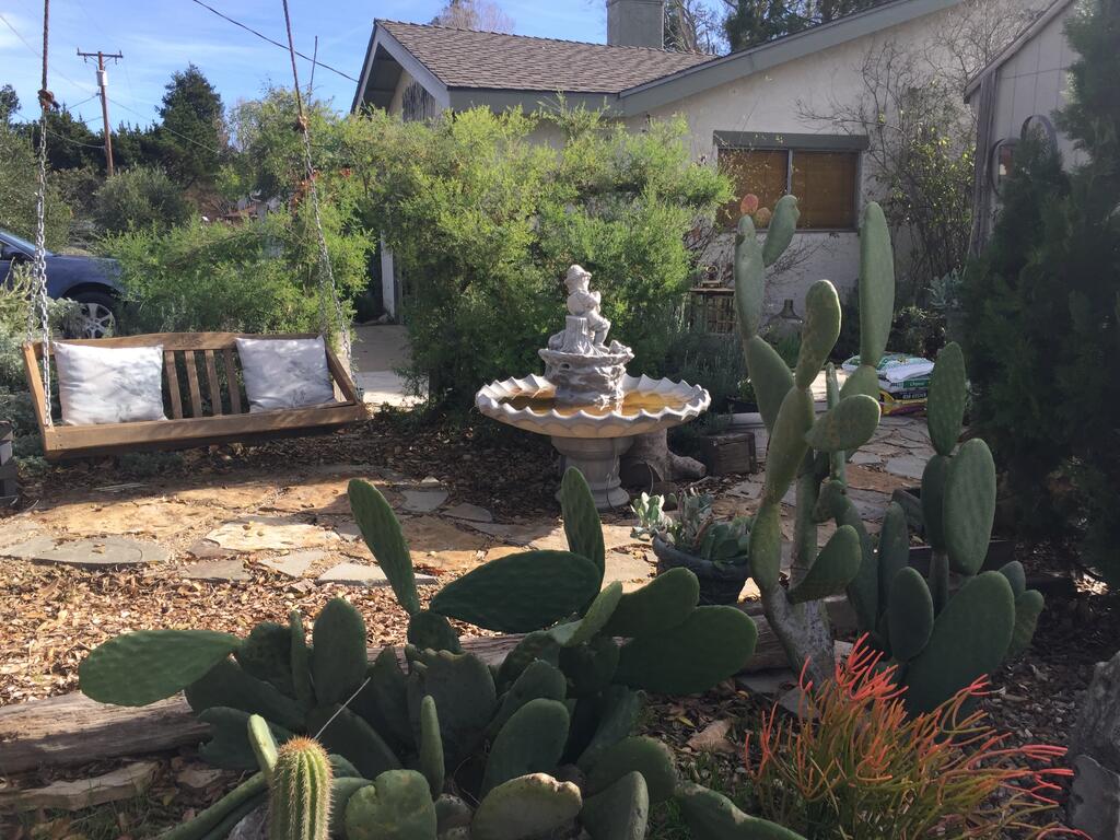 The Succulent - thumb 1