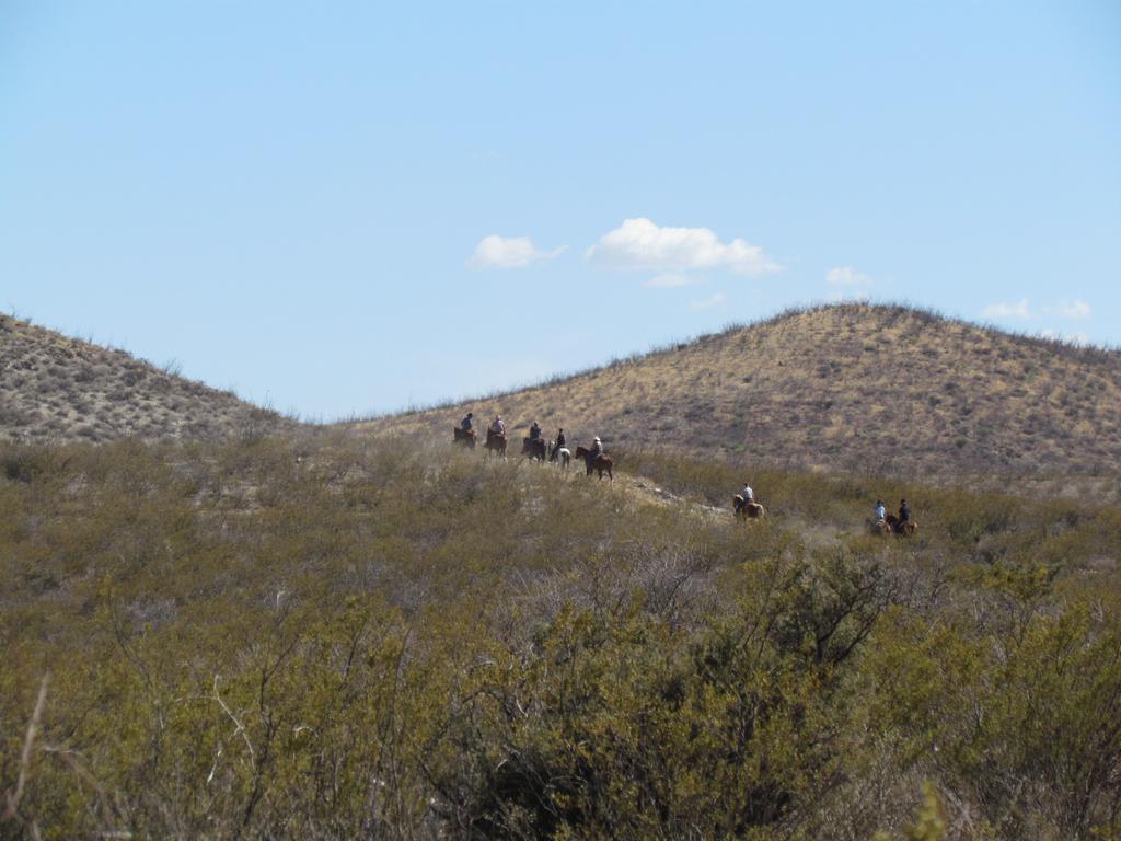 Tombstone Monument Guest Ranch - thumb 2