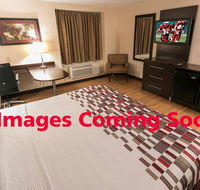 Red Roof Inn PLUS Tuscaloosa - University - Accommodation Rooms