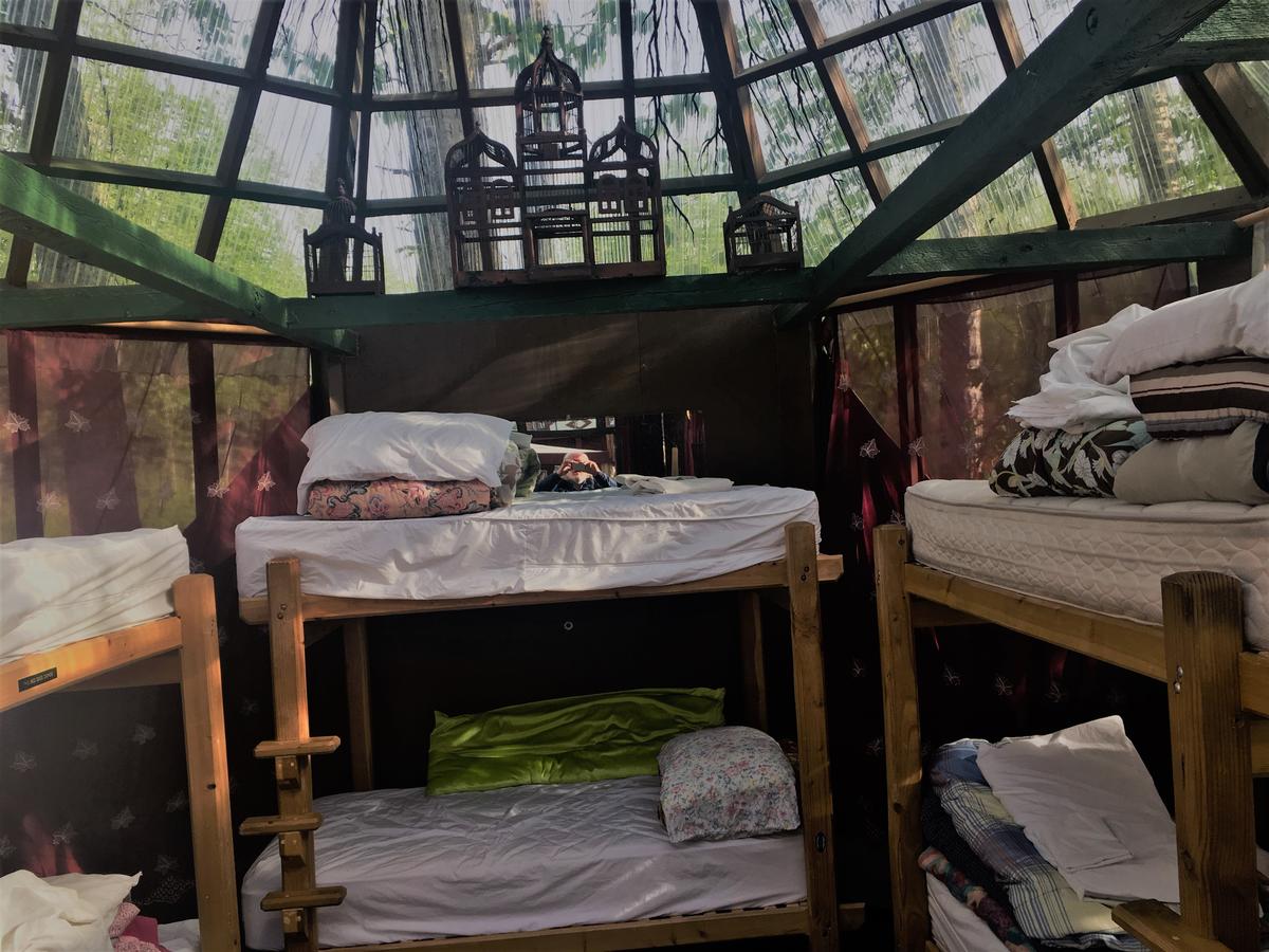 Billie's Backpackers Hostel - thumb 22