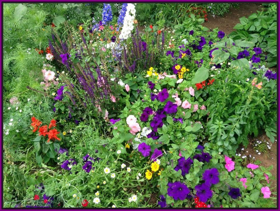 Billie's Backpackers Hostel - thumb 35