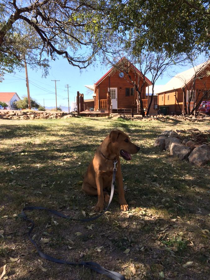 Katie's Cozy Cabins - thumb 28