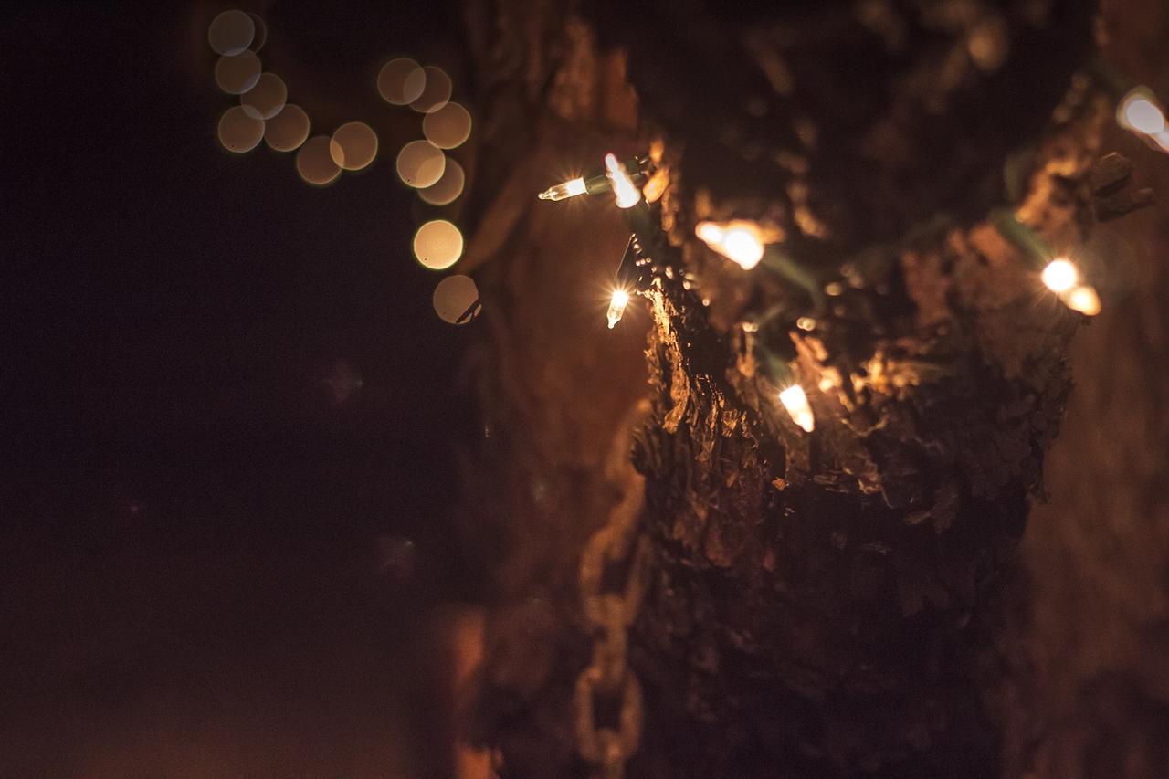 Katie's Cozy Cabins - thumb 23