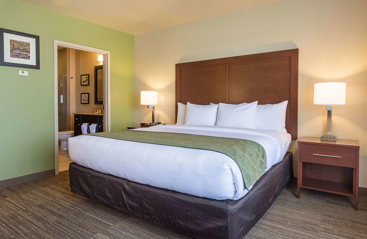 Comfort Inn Bentonville - thumb 26