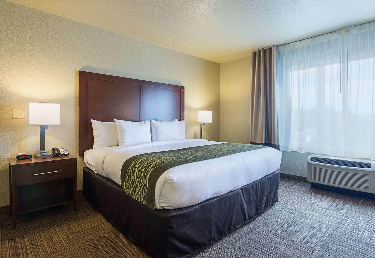 Comfort Inn Bentonville - thumb 19