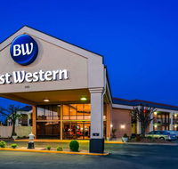 Best Western Windsor Suites - Accommodation Rooms