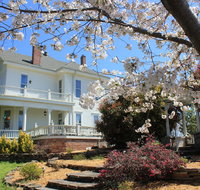 Spring Street Inn Hot Springs National Park - Accommodation Rooms